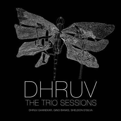 The Trio Sessions